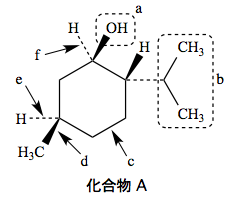 解説画像